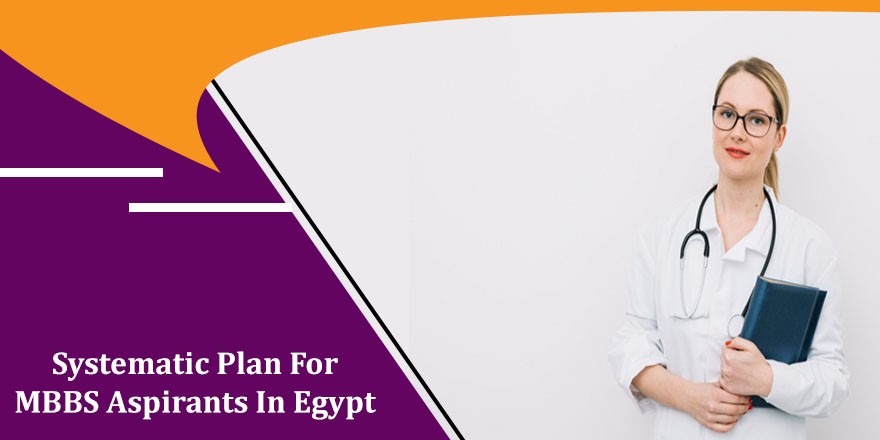 Systematic Plan For MBBS Aspirants In Egypt