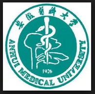 Anhui Medical University