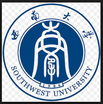 Southwest Medical University